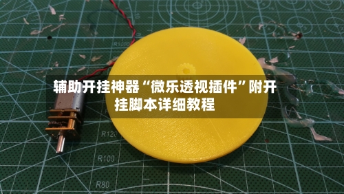 辅助开挂神器“微乐透视插件	”附开挂脚本详细教程-第3张图片