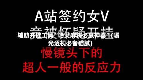 辅助开挂工具“哈灵麻将必赢神器	”(曝光透视必备猫腻)-第2张图片