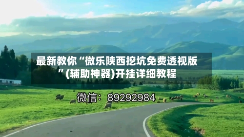 最新教你“微乐陕西挖坑免费透视版	”(辅助神器)开挂详细教程-第2张图片