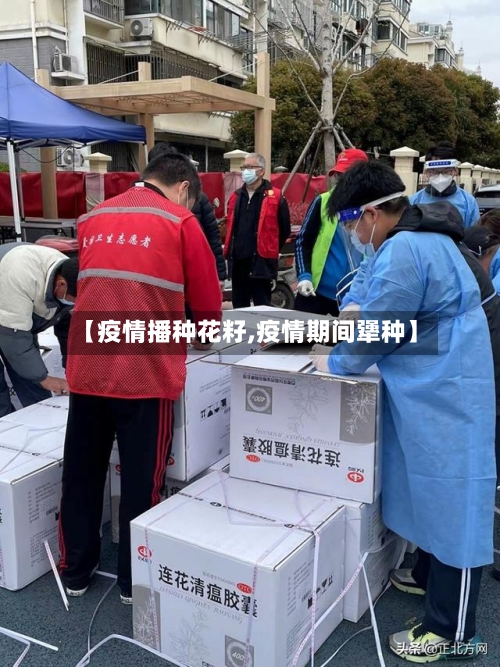 【疫情播种花籽,疫情期间犟种】