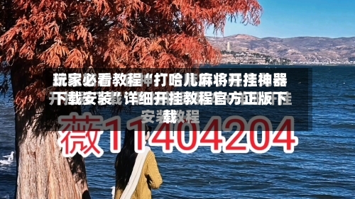 玩家必看教程“打哈儿麻将开挂神器下载安装	”详细开挂教程官方正版下载-第2张图片