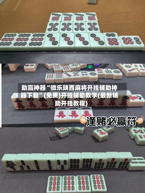 助赢神器“微乐陕西麻将开挂辅助神器下载	”(免费)开挂辅助教学(最新辅助开挂教程)-第2张图片