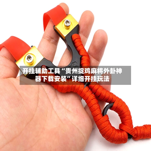 开挂辅助工具“贵州捉鸡麻将外卦神器下载安装”详细开挂玩法-第2张图片