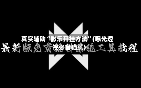 真实辅助“微乐开挂方法”(曝光透视必备猫腻)-第2张图片