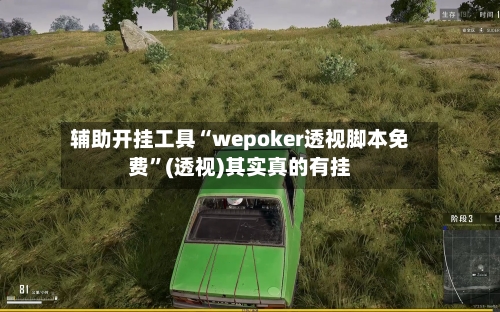 辅助开挂工具“wepoker透视脚本免费”(透视)其实真的有挂-第2张图片