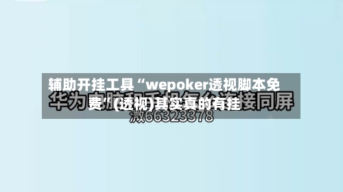 辅助开挂工具“wepoker透视脚本免费”(透视)其实真的有挂-第3张图片