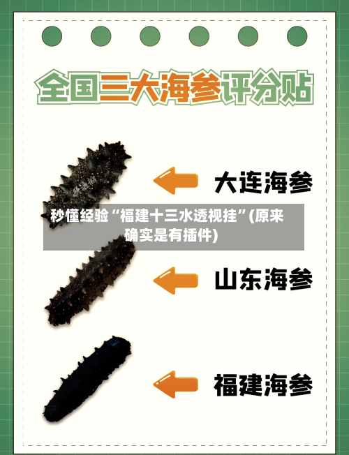 秒懂经验“福建十三水透视挂”(原来确实是有插件)-第3张图片