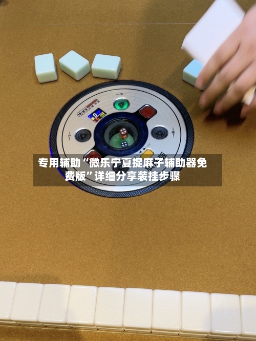 专用辅助“微乐宁夏捉麻子辅助器免费版”详细分享装挂步骤-第2张图片