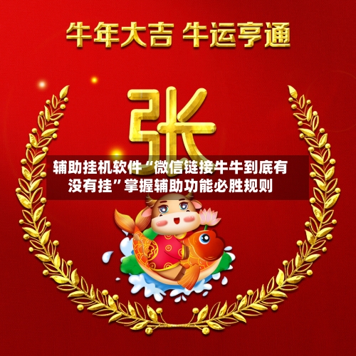 辅助挂机软件“微信链接牛牛到底有没有挂”掌握辅助功能必胜规则-第3张图片