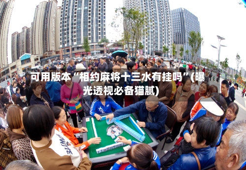 可用版本“相约麻将十三水有挂吗”(曝光透视必备猫腻)-第2张图片