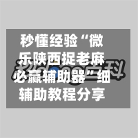 秒懂经验“微乐陕西捉老麻必赢辅助器	”细辅助教程分享-第3张图片
