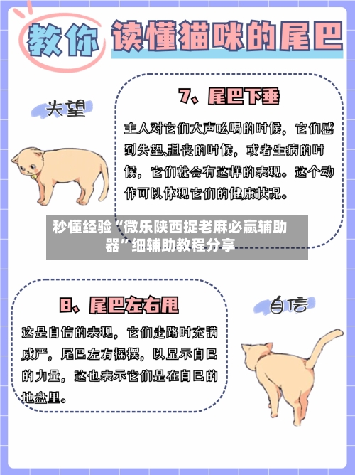 秒懂经验“微乐陕西捉老麻必赢辅助器”细辅助教程分享-第2张图片