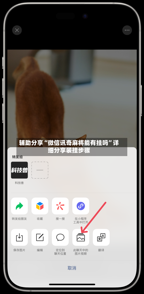 辅助分享“微信讯奇麻将能有挂吗”详细分享装挂步骤-第2张图片