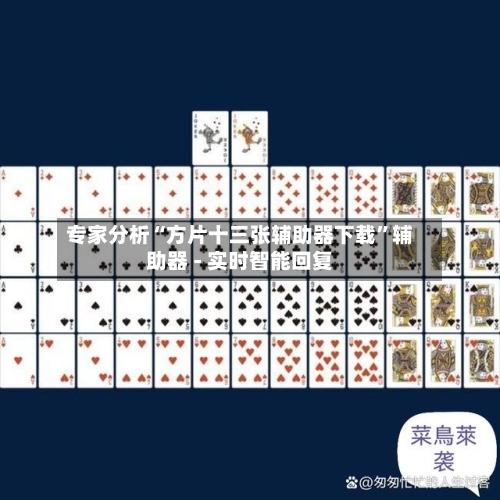 专家分析“方片十三张辅助器下载	”辅助器 - 实时智能回复-第2张图片