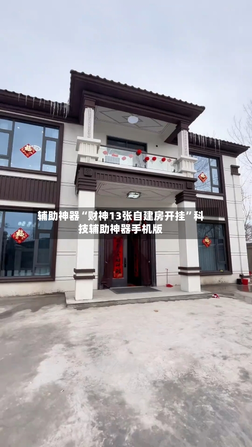 辅助神器“财神13张自建房开挂”科技辅助神器手机版-第2张图片