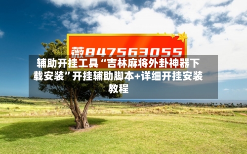 辅助开挂工具“吉林麻将外卦神器下载安装	”开挂辅助脚本+详细开挂安装教程-第2张图片