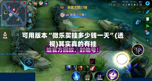 可用版本“微乐买挂多少钱一天”(透视)其实真的有挂-第3张图片