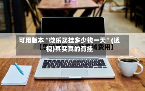 可用版本“微乐买挂多少钱一天”(透视)其实真的有挂-第2张图片