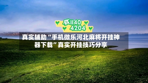 真实辅助“手机微乐河北麻将开挂神器下载”真实开挂技巧分享