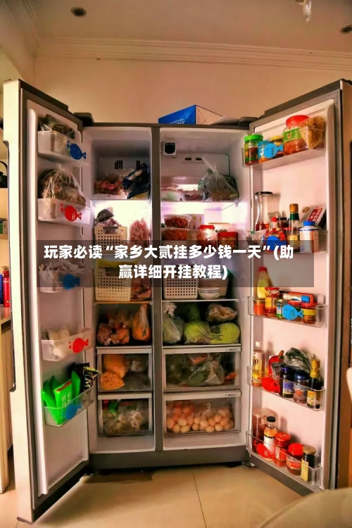 玩家必读“家乡大贰挂多少钱一天	”(助赢详细开挂教程)-第2张图片