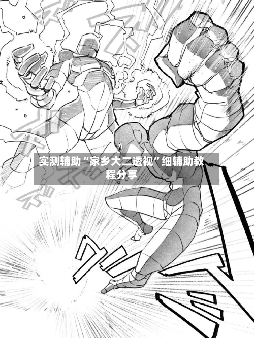 实测辅助“家乡大二透视”细辅助教程分享