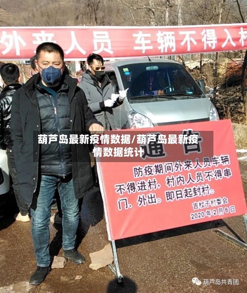 葫芦岛最新疫情数据/葫芦岛最新疫情数据统计