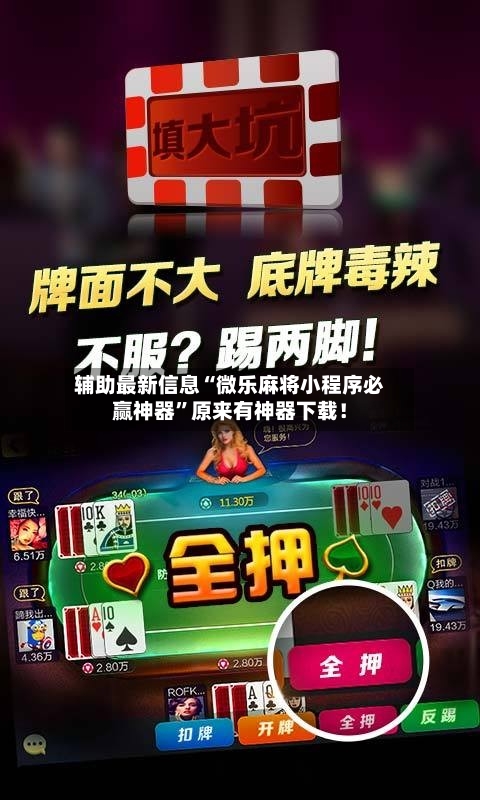 辅助最新信息“微乐麻将小程序必赢神器”原来有神器下载！-第3张图片