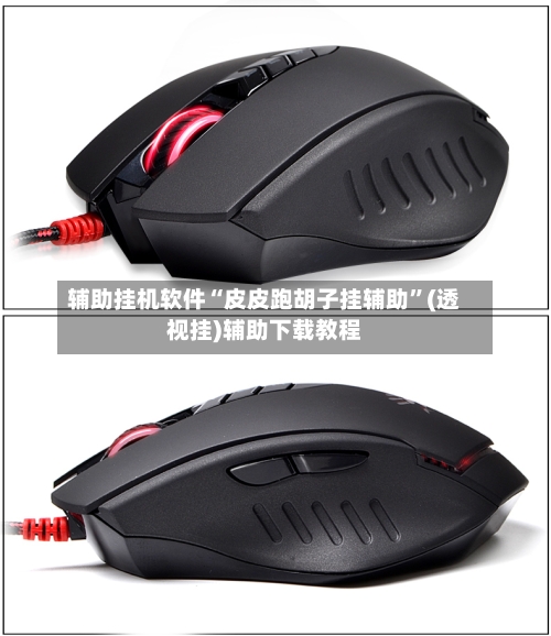 辅助挂机软件“皮皮跑胡子挂辅助”(透视挂)辅助下载教程-第2张图片