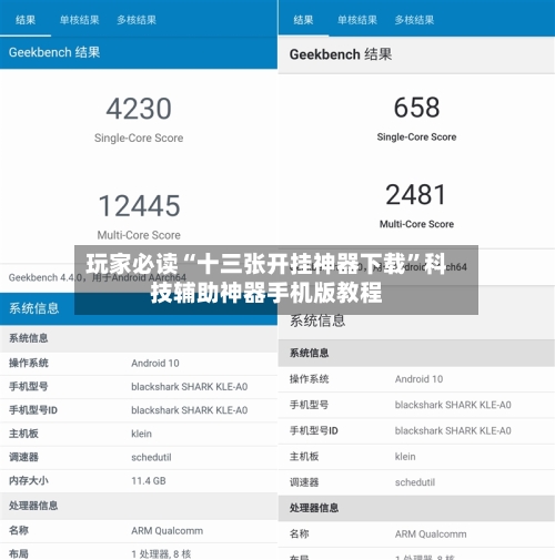 玩家必读“十三张开挂神器下载	”科技辅助神器手机版教程-第2张图片