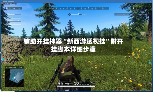 辅助开挂神器“新西游透视挂	”附开挂脚本详细步骤-第2张图片