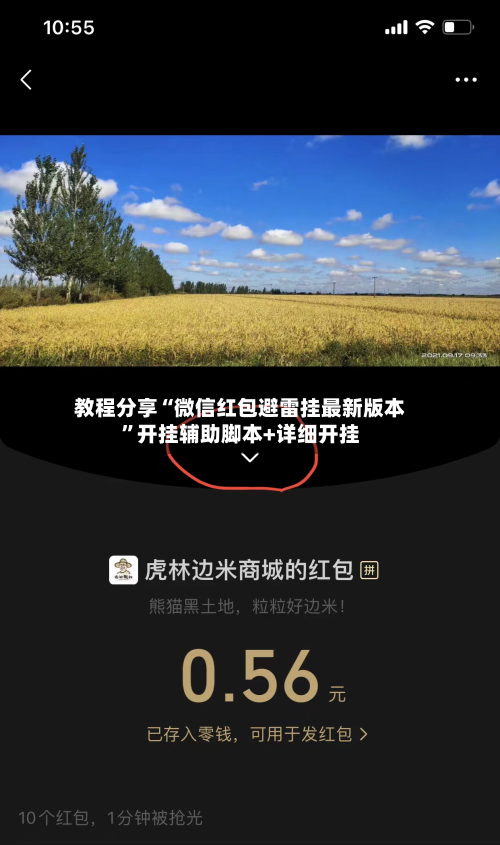 教程分享“微信红包避雷挂最新版本	”开挂辅助脚本+详细开挂-第2张图片