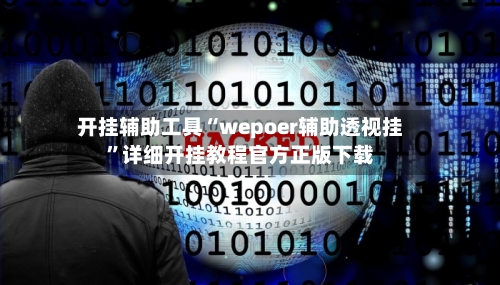 开挂辅助工具“wepoer辅助透视挂”详细开挂教程官方正版下载-第2张图片