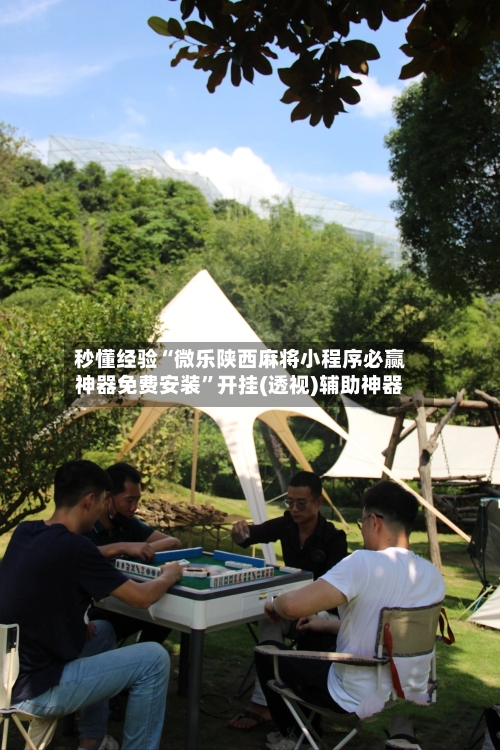 秒懂经验“微乐陕西麻将小程序必赢神器免费安装”开挂(透视)辅助神器-第3张图片