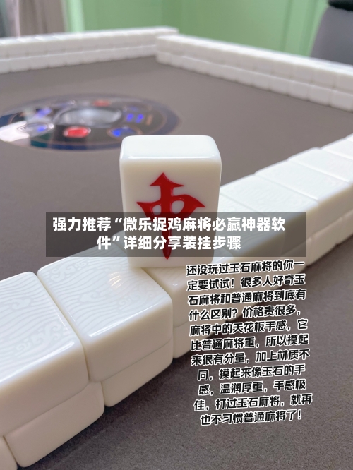 强力推荐“微乐捉鸡麻将必赢神器软件”详细分享装挂步骤-第3张图片
