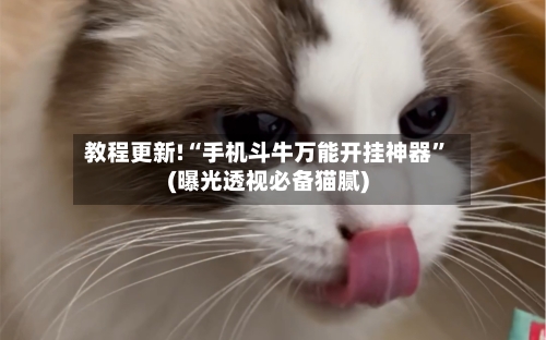 教程更新!“手机斗牛万能开挂神器”(曝光透视必备猫腻)-第3张图片