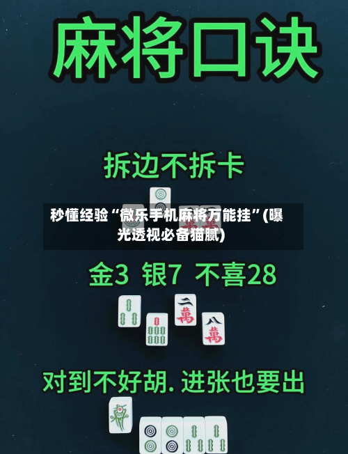 秒懂经验“微乐手机麻将万能挂	”(曝光透视必备猫腻)-第2张图片