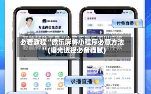 必看教程“微乐麻将小程序必赢方法”(曝光透视必备猫腻)-第3张图片