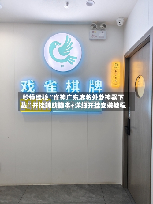 秒懂经验“雀神广东麻将外卦神器下载”开挂辅助脚本+详细开挂安装教程-第3张图片