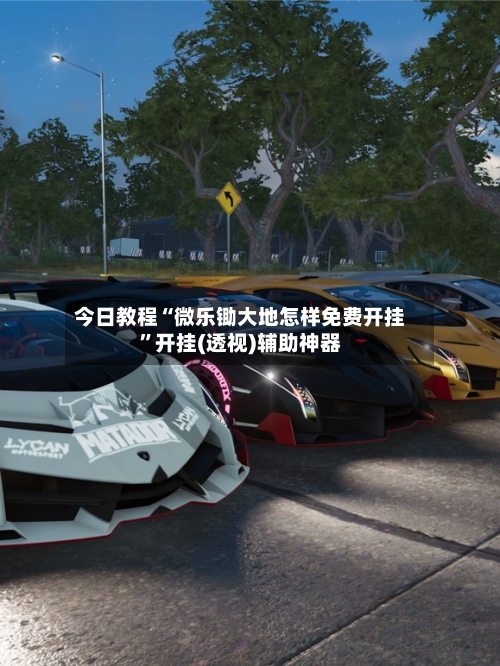 今日教程“微乐锄大地怎样免费开挂”开挂(透视)辅助神器-第2张图片