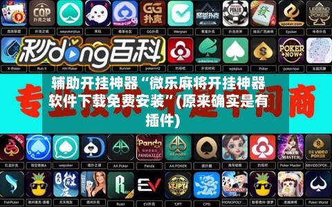 辅助开挂神器“微乐麻将开挂神器软件下载免费安装	”(原来确实是有插件)-第3张图片