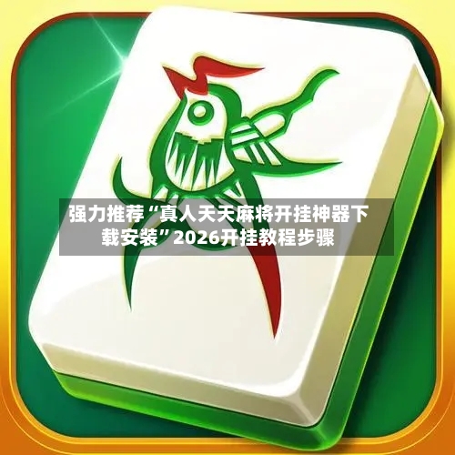 强力推荐“真人天天麻将开挂神器下载安装”2026开挂教程步骤-第2张图片