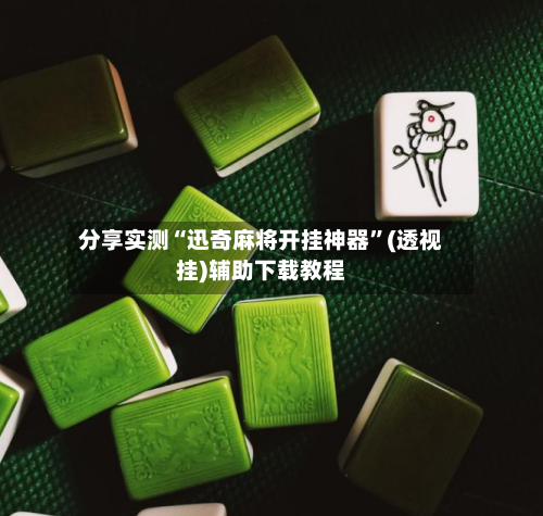 分享实测“迅奇麻将开挂神器”(透视挂)辅助下载教程-第2张图片