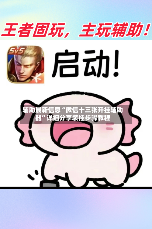 辅助最新信息“微信十三张开挂辅助器”详细分享装挂步骤教程-第2张图片