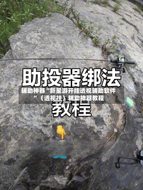 辅助神器“新星游开挂透视辅助软件”（透视挂）辅助神器教程-第2张图片