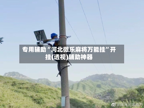 专用辅助“河北微乐麻将万能挂	”开挂(透视)辅助神器-第2张图片