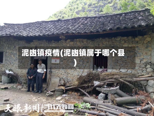 泥凼镇疫情(泥凼镇属于哪个县)