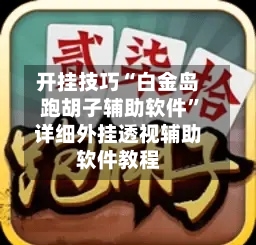 开挂技巧“白金岛跑胡子辅助软件	”详细外挂透视辅助软件教程-第2张图片