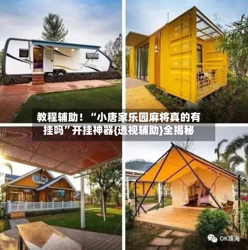 教程辅助！“小唐家乐园麻将真的有挂吗”开挂神器{透视辅助}全揭秘-第2张图片