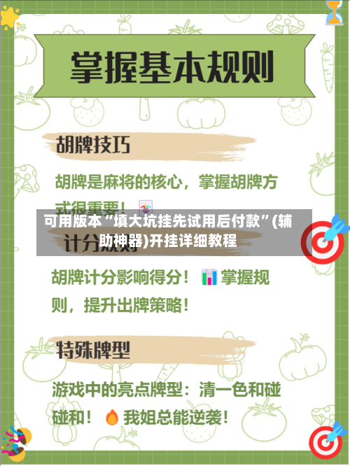 可用版本“填大坑挂先试用后付款”(辅助神器)开挂详细教程-第3张图片