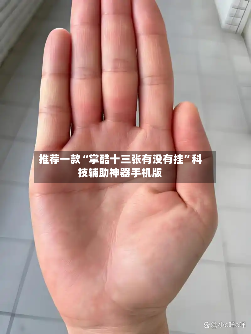 推荐一款“掌酷十三张有没有挂”科技辅助神器手机版-第2张图片